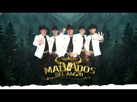 MALVADOS DEL AMOR - YO TE ESPERARE ( Promocional 2025 )