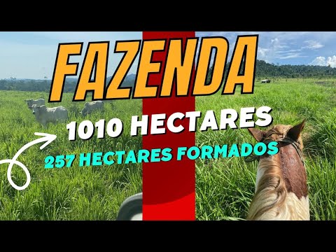 FAZENDA DE  1010 HECTARES COM 254 HECTARES FORMADO NA CIDADE DE JURUENA MATO GROSSO