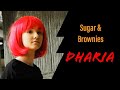 Dharia Sugar and Brownies lyrics عربي & english#motivation#dharia#song#عربي