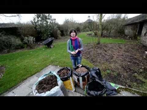 Editors Choice - Mulches