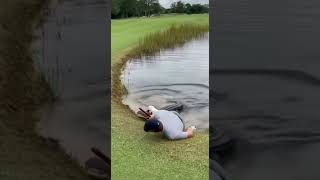 Alligator Attacks Golfer on Course - **SHOCKING FOOTAGE**