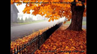 Jay Young - Maple Leaves [ORIGINAL] (Prod. by Vikto Beats)