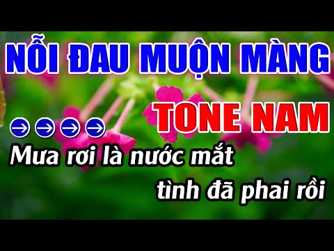 Nỗi Đau Muộn Màng Karaoke Tone Nam ( Am ) Karaoke Lâm Beat - Beat Mới