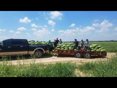 Karolyna Arguijo n Mom, watermelon season 2016