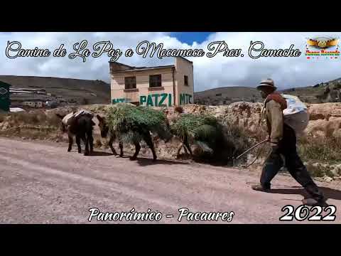 Cómo llegar de La paz a Mocomoco Prov.  Camacho 