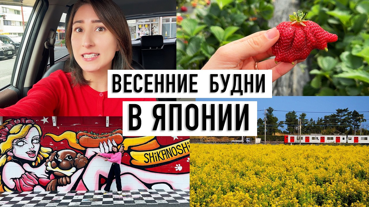 Тихие дни в Японии в начале весны. Фукуока, цветение сливы и поездка на остров