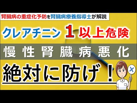 クレアチン: クレアチンとは何なのか、何のためにあるのか、そしてどのように使用するのか