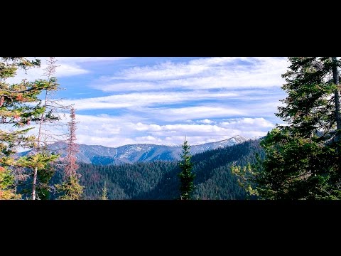 Трейлер