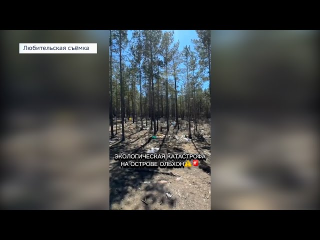 Мусорный коллапс