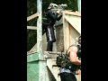 Lone Wolf Paintball Mt Clemens NEWEST VIDEO