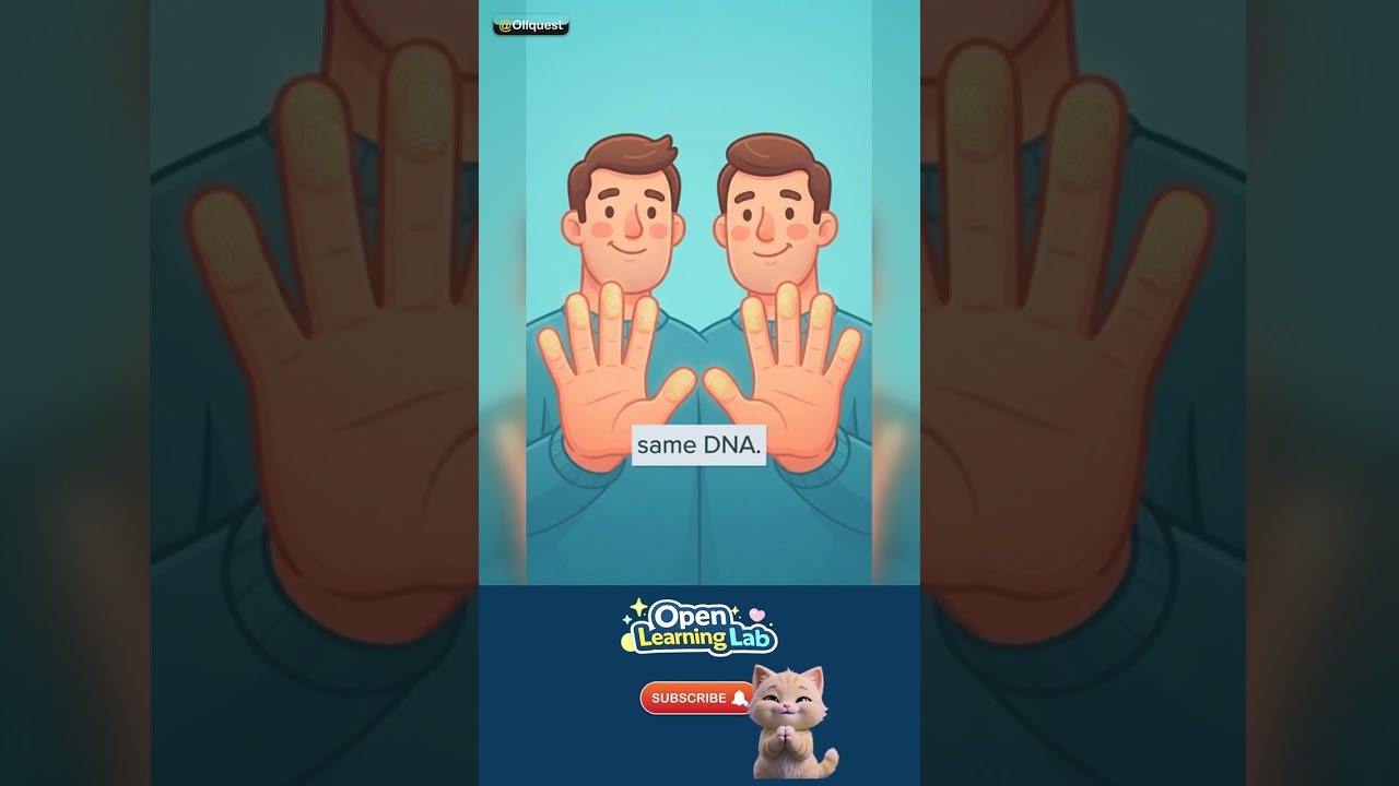 Why Do We Have Fingerprints? — The big myth 🚀 #Shorts