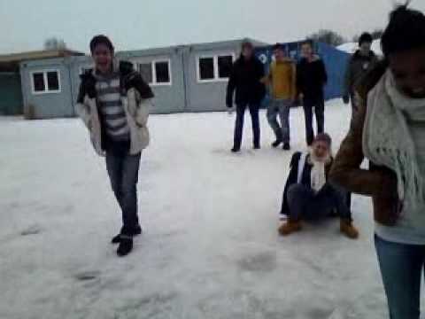 Caro und Merle fliegen auf die Schnauze