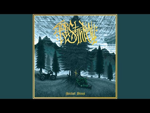 Of Rifle, Axe and Blade