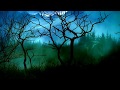 Darkseed - Where Will I Go 