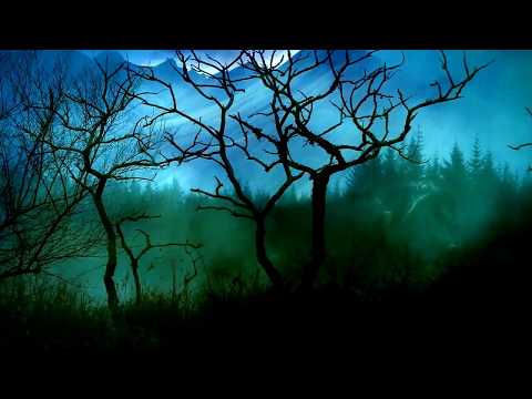 Where Will I Go cover