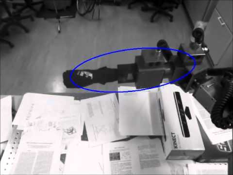 Learning Visuomotor Transformations and End Effector Appearance by Local Visual Consistency