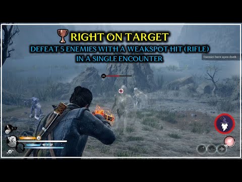 BANISHERS, GHOSTS OF NEW EDEN | RIGHT ON TARGET TROPHY [KILL 5 FOES IN 1 ENCOUNTER WITH HEADSHOTS]