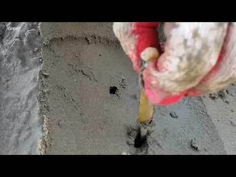 Amazing Razor Clam Digging With Salt And Catching Mantis Shrimp, Monster Clams Processing Skill