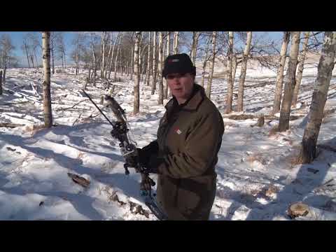 Shooting Your Bow at a Steep Incline