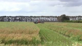 preview picture of video 'Over the Fence: Raised beds boost yields at Winchelsea - Feb 2012'