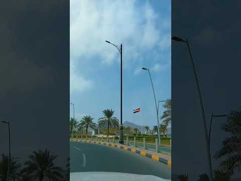 From the calm of the beach to the heights of the mountains, life’s beauty is everywhere.