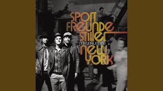 Ein kleiner Schritt (MTV Unplugged In New York)