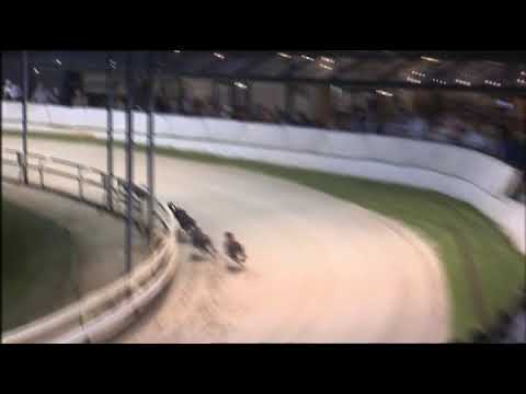 2017 CORAL CHAMPION STAKES - 1ST SEMI - T4 BUBBLY TORPEDO