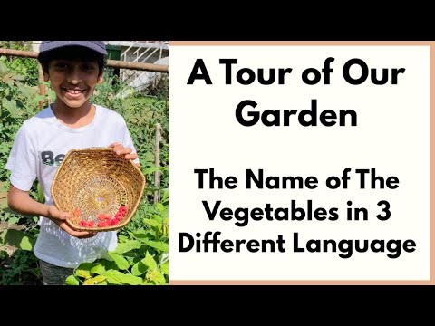 A Tour of Our Garden || Learn The Name of The Vegetables in 3 Different Language|| Sanjar Keyaan ||