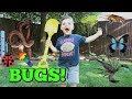 Caleb & Mommy Play with REAL Bugs Outside and Learn Colors! Pretend Play with Insects