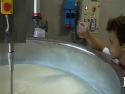 Mini Dairy plant for cheese and ricotta production with electric lift for double bottom 1000 l and automatic steam boiler