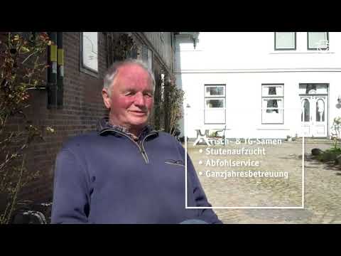 Holsteiner Hengststation - Kattrepel