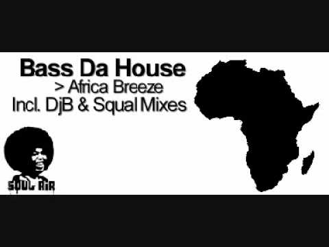 Nicolas Bassi - Africa Beeze (Dj Squal Spirit Mix)