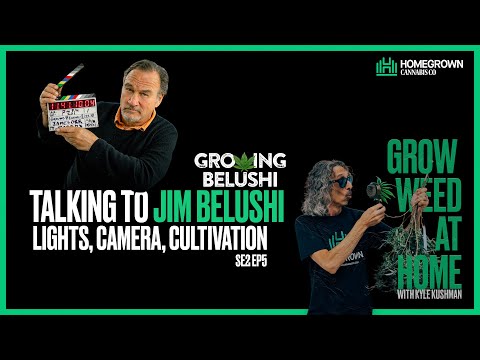 Talking WEED with Jim Belushi: Lights, Camera, Cultivation. GWAH | Ep 21 | Kyle Kushman.