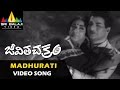Jeevitha Chakram Video Songs Madhurati Madhuram Video Song NTR Vanisri Sri Balaji Video