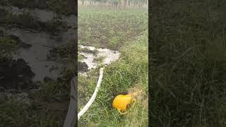 H2grow Innovations Uganda