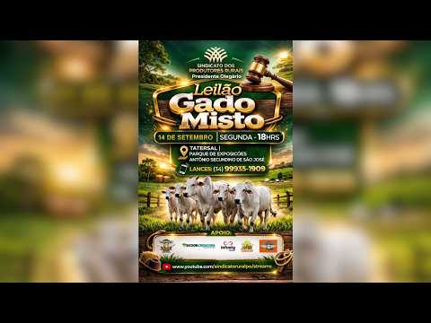 LEILÃO MISTO - SIND. RURAL DE PRESIDENTE OLEGÁRIO 14/09/2026