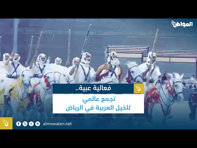فعالية عبية.. تجمع عالمي للخيول العربية في الرياض