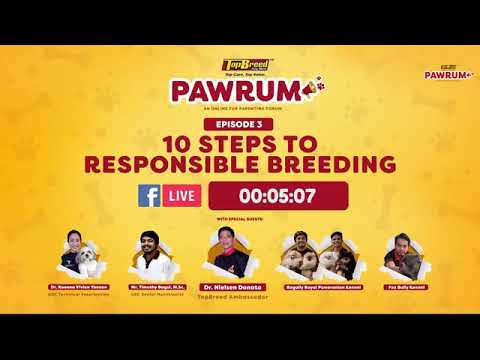 10 Steps To Responsible Breeding | TopBreed PH