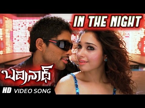 In the Night Full Video Song | Badrinath Movie | Allu Arjun, tamanna