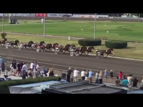 Dansk Hoppe Derby 2016