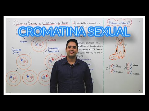 CORPÚSCULO DE BARR OU CROMATINA SEXUAL