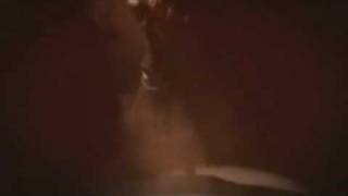 Bloodflowerz - Fire In Paradise