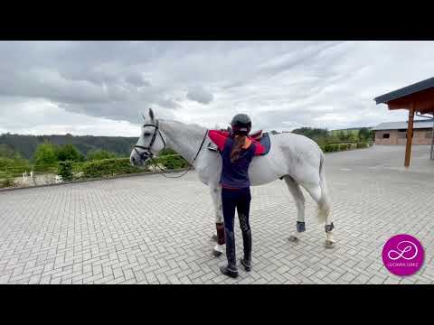 Luciana Diniz - Tuesday Exercise - Training without stirrups