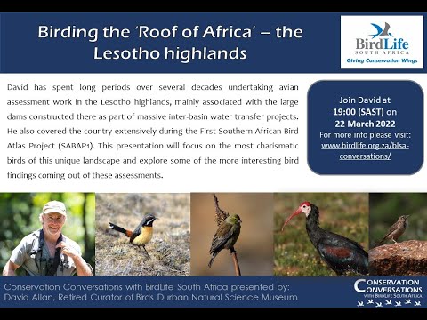 Conservation Conversations: David Allan - Birding the Roof of Africa (22Mar22)