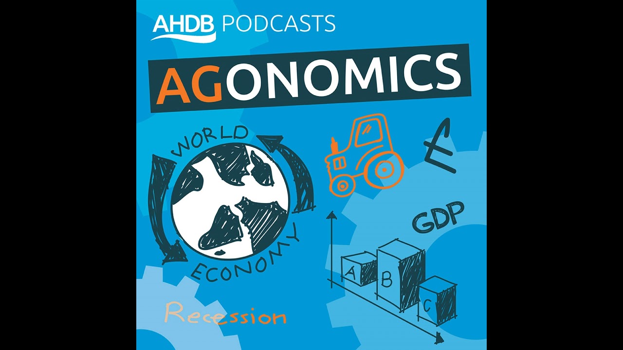 Lamb market outlook update, yoghurt bucks trend and milk-to-feed-price ratio