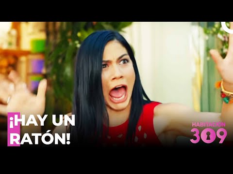 Bullicio De Vecino Chismeador En Floristería - Habitación 309