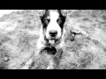Massive Attack | Danny The Dog 