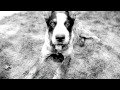 Massive Attack | Danny The Dog 