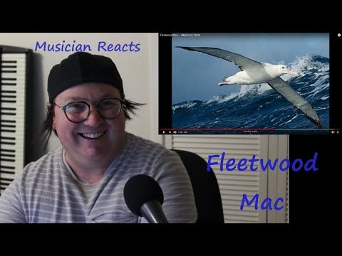 Reaction to Fleetwood Mac playing Albatross