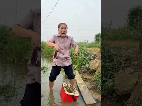 Survival Skills You Must Know |#outdoorlife #survivaltips